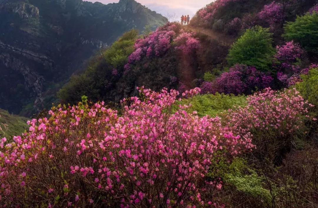 川西彩林自驾风景,川西三大草原绝美自驾游