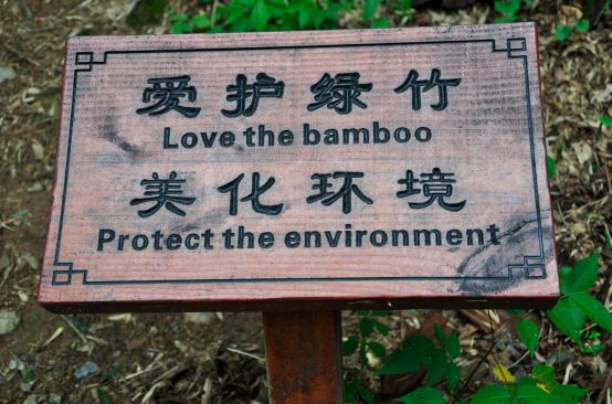 你知道竹海“美容师”吗？她拥有宜兴竹海的最美背影