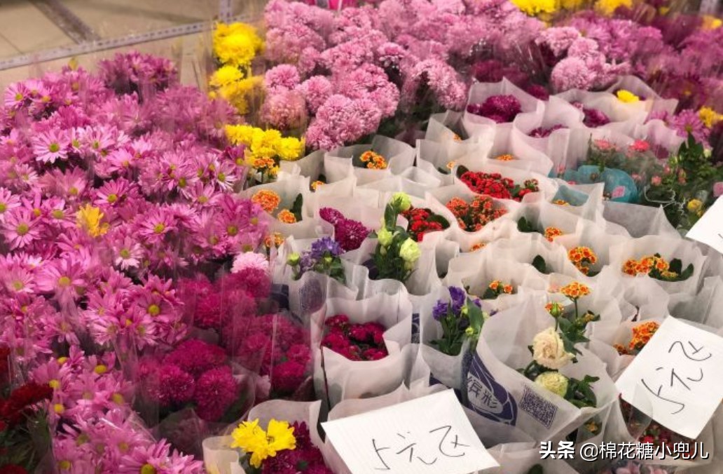北京盆栽花卉批发市场,北京众兴花卉批发市场
