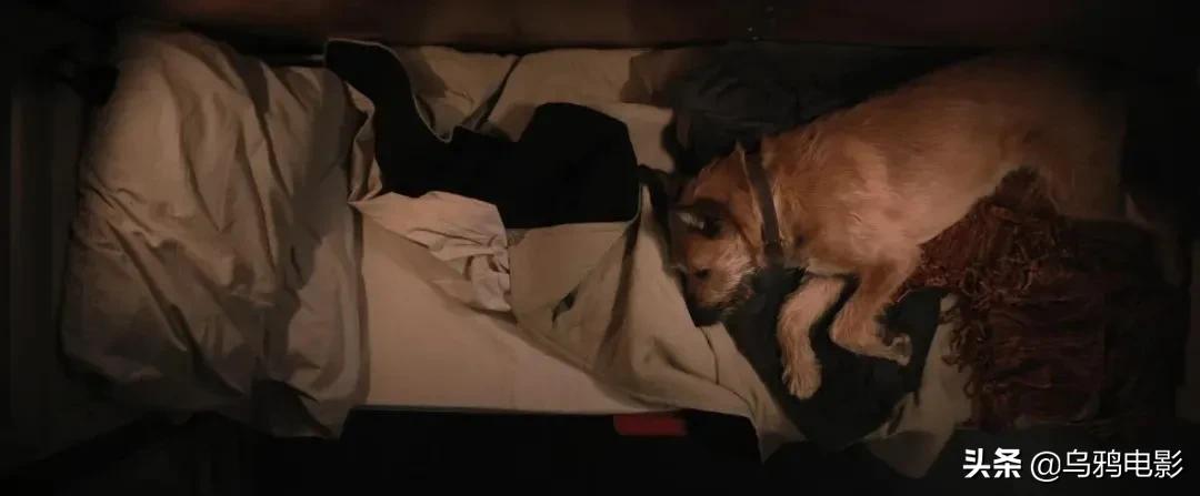 一部被低估的科幻电影末日,现在最火的末日片有哪些