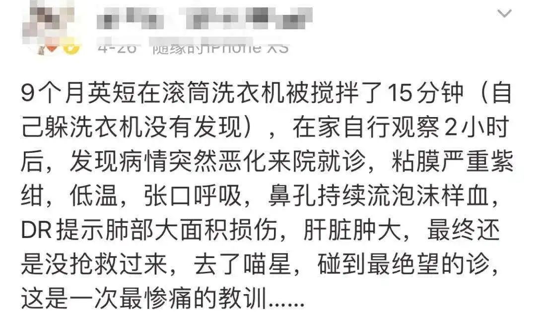 洗衣机里放什么可以去除猫毛,怎么用洗衣机洗掉衣服上的猫毛
