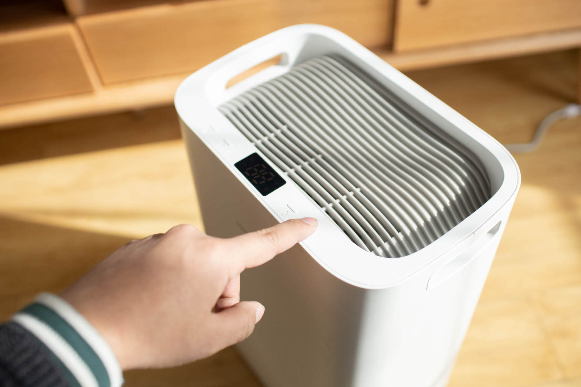 抵御南方湿冷的魔法攻击,小而强悍的伊岛*湿机除**