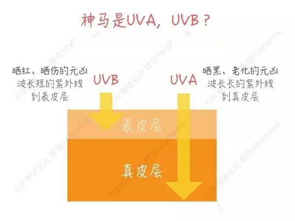 最新防晒攻略,夏季防晒攻略看这篇就够了