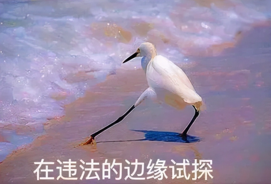 英政府,英政府出台法律打击偷渡