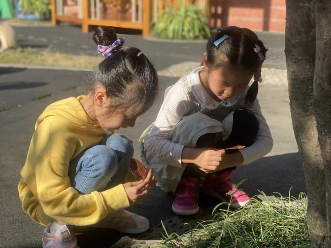 秋天你好吗,秋天你好