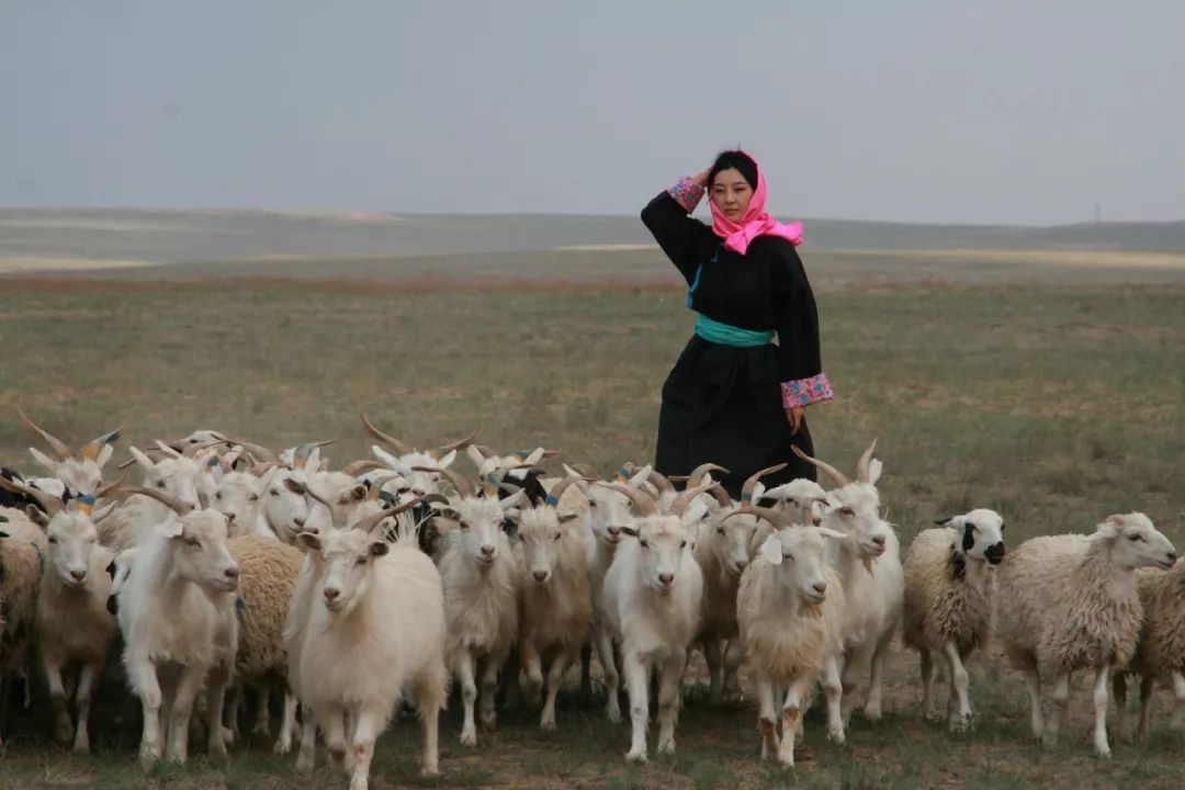 中国产的羊绒衫在俄罗斯卖多少钱,中国阿玛尼衣服代工厂