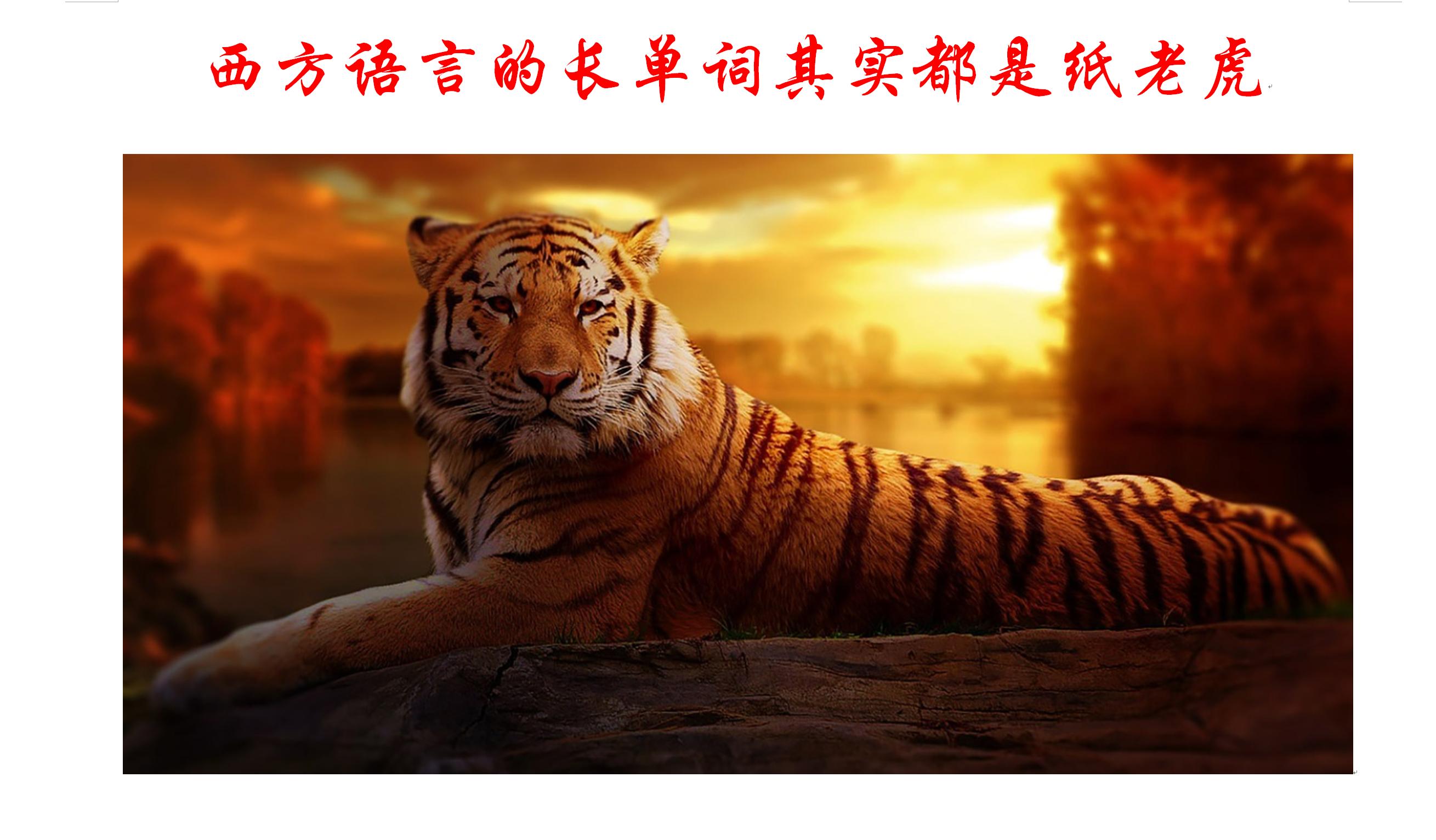 西方语言字母表,外国语言单词