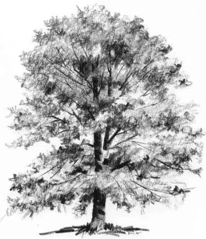 40张经典素描风景图快拿去临摹吧,最好看的素描风景图片