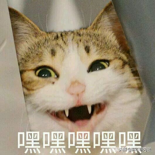 电商法实施后的处罚,电商法实施后开淘宝店怎么办