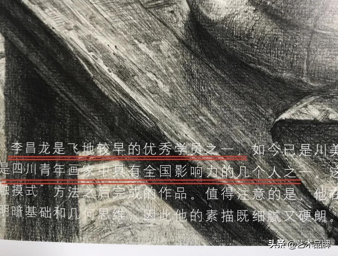 伪书！冒用央美及教授名义出版，王华祥：胆大包天