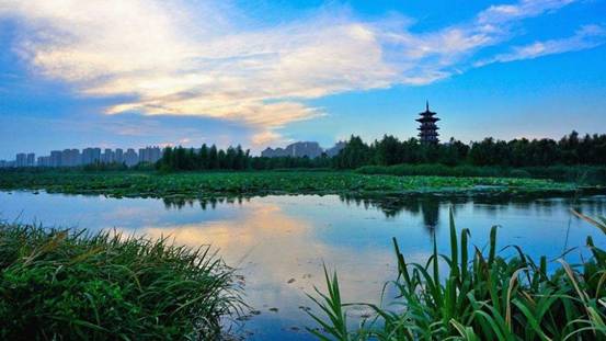 不出郑州旅游攻略,郑州五一游玩公园推荐