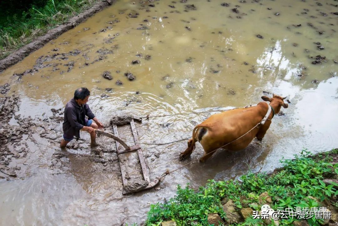 四川岳池黄龙水库,岳池黄龙杨家沟水库