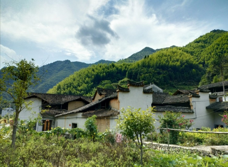浙江传统村落:松阳李坑村,被美誉为生态旅游,绿色氧吧的村落