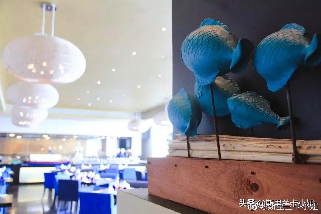 斯里兰卡爆发恐袭,斯里兰卡恐袭案什么时候发生的