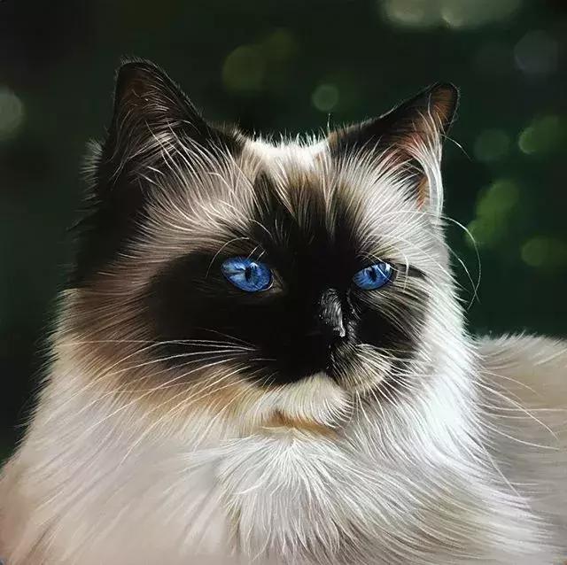 彩铅不会涂色怎么办,彩铅绘画干货