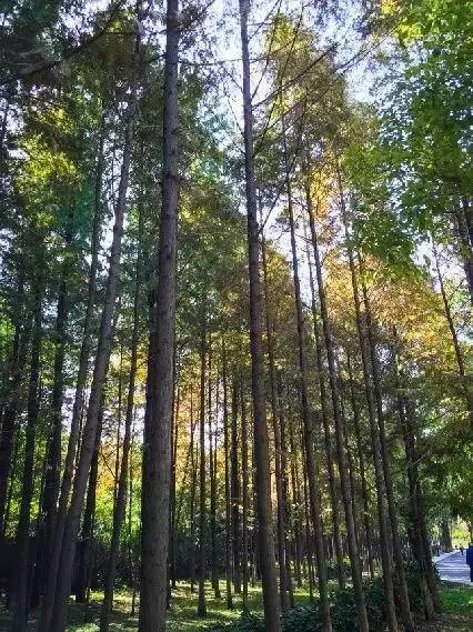 五一武汉市周边游,五一武汉周边短途旅游推荐