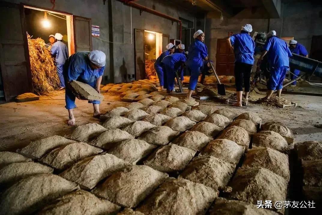 外国人第一次喝中国茅台酒反应,茅台飞天品鉴感受