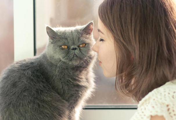 哪4种专业偏冷门但就业率却很高,十大冷门赚钱专业排行榜