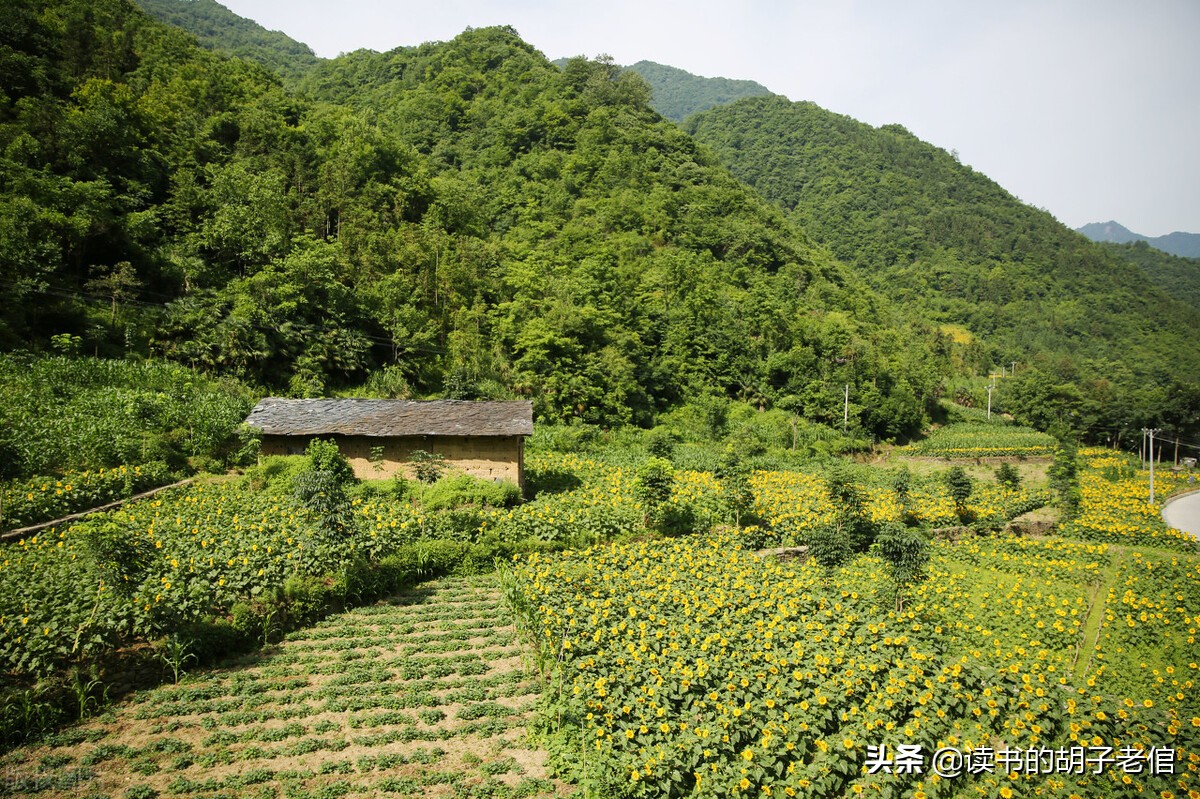 向往田园生活的人说明什么,向往田园生活的句子