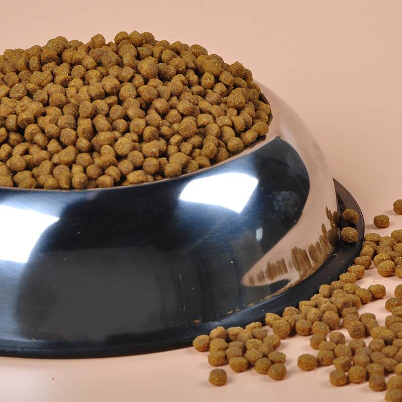 狗粮怎么挑选平价国产狗粮篇,怎么挑选营养高的狗粮品牌