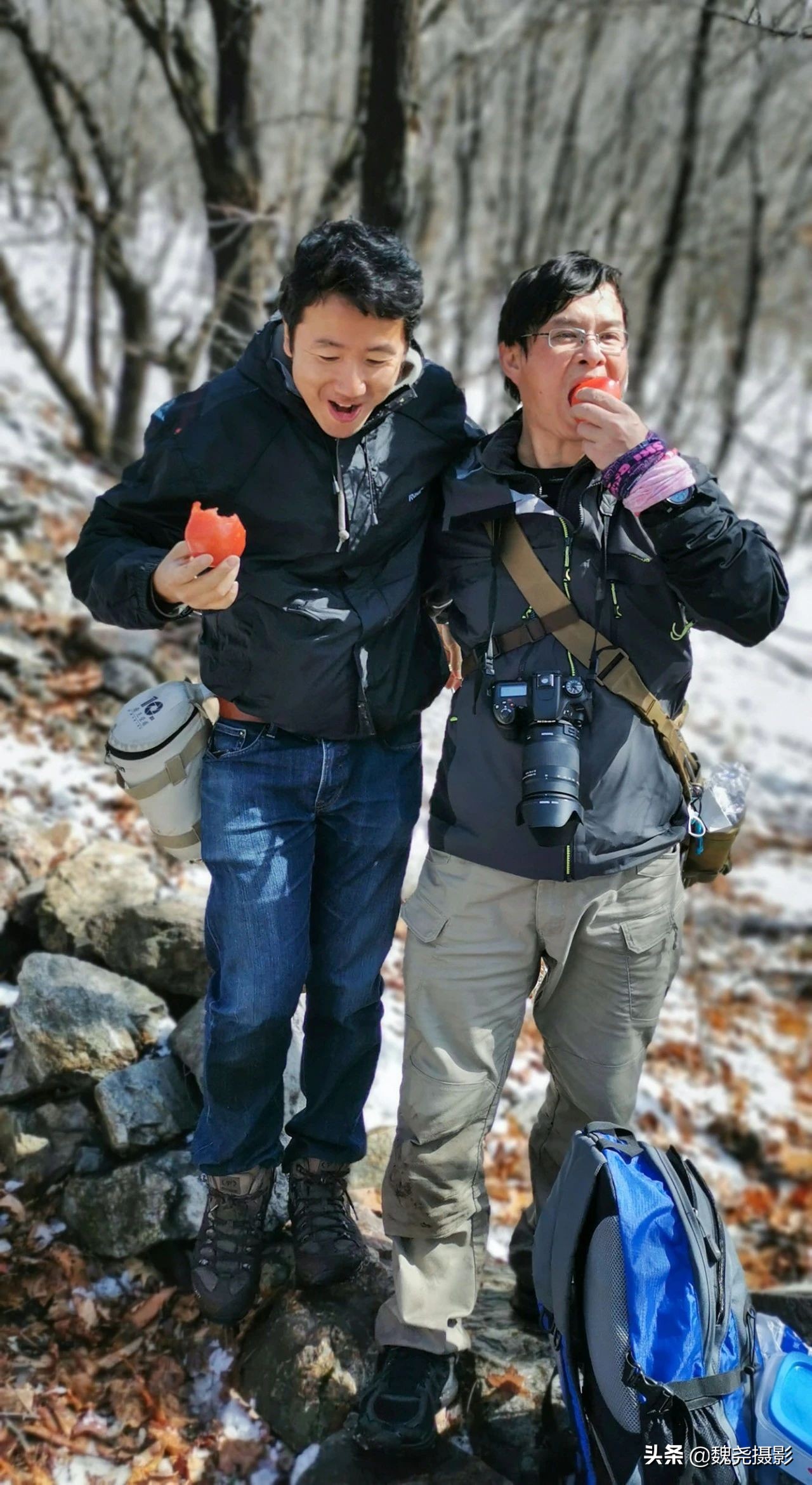 雪+雾凇+侧金盏+款冬=一次完美寻花之旅