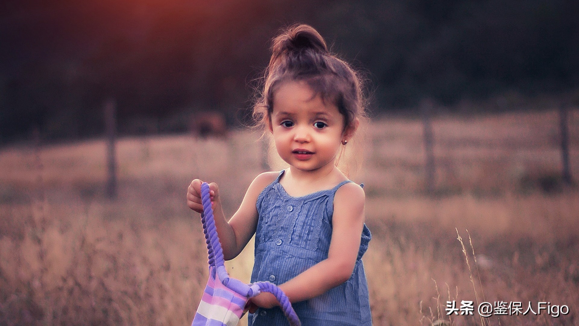 保险的各种期限都是啥意思,保险各种期限