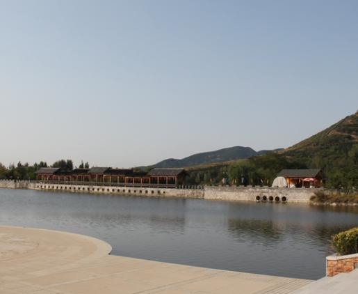 山东绿化最好的城市,山东省的绿化