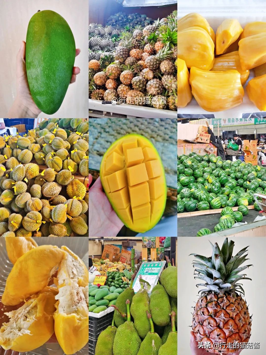 三刷一个城市是什么样的体验,西双版纳最好的边境小城