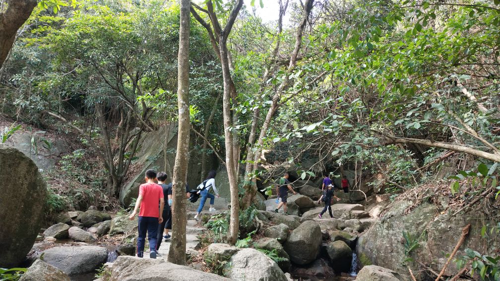 深圳羊台山风景区,深圳羊台山
