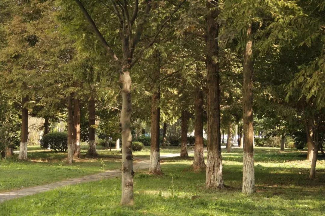 江苏省淮阴师范学院图片,江苏高校简介淮阴工学院