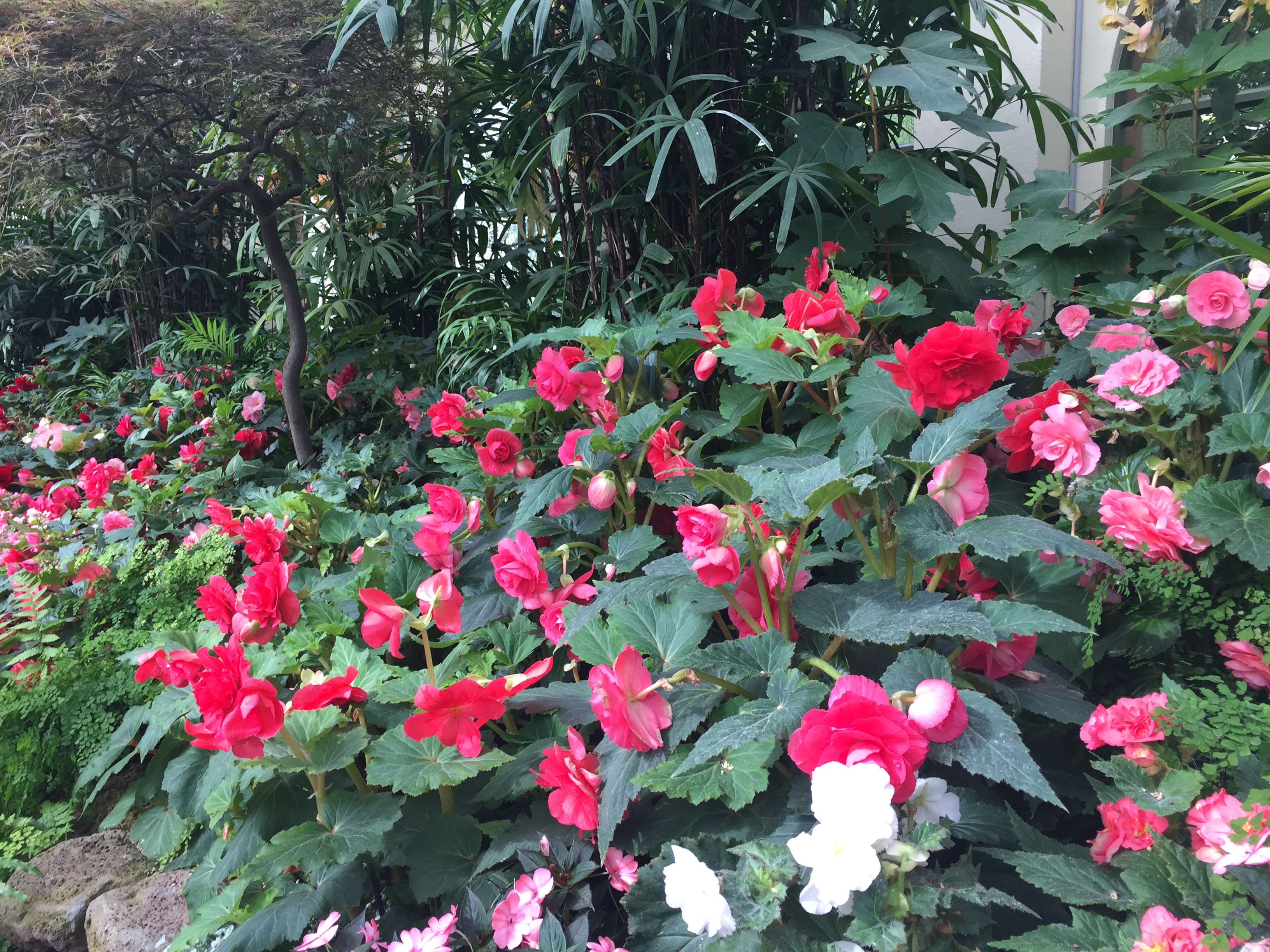 新西兰天然农场,成都新西兰牧场