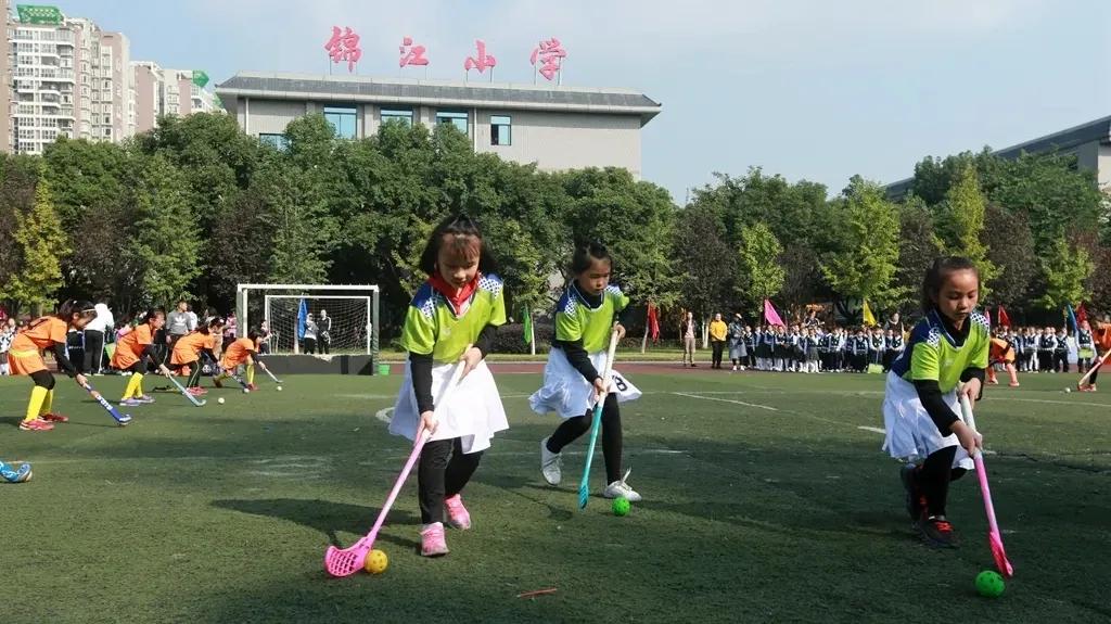 天府路小学秋季运动会,2019年成都市天府新区运动会