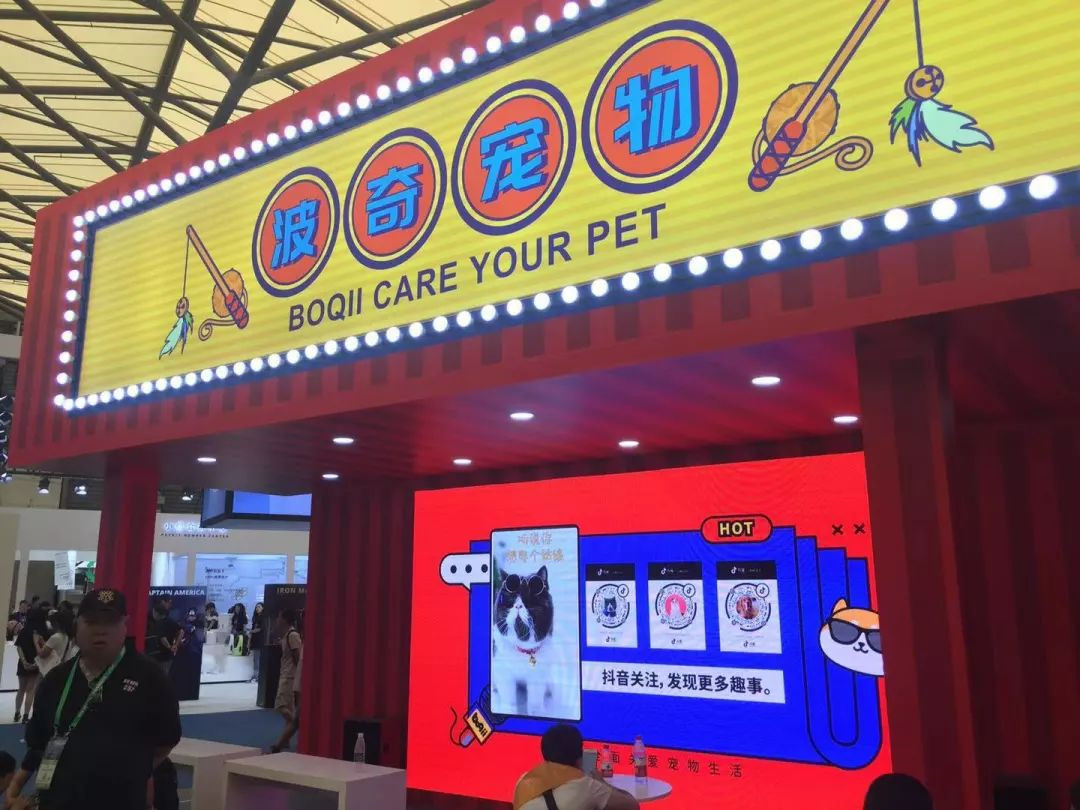波奇宠物公司,波奇宠物怎么样