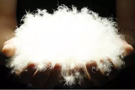 羽绒有异味怎么处理,羽绒的气味来源