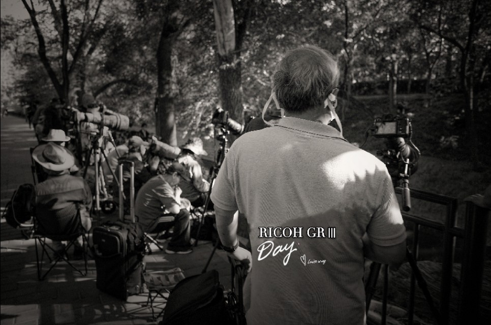 理光GR——装在兜儿里的扫街利器