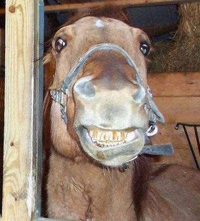 夫妻吵架的7个技巧,新婚夫妻之间每天晚上吵架