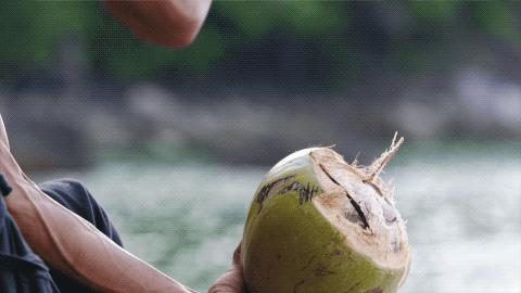他卖掉豪宅搬进山洞,做出一个全世界风景最好的厕所