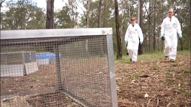 法医不动尸体也能猜测死因,法医检查尸体突然动了