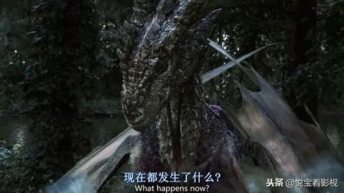 比较东方龙和西方龙的电影,电影中的西方龙对比东方龙