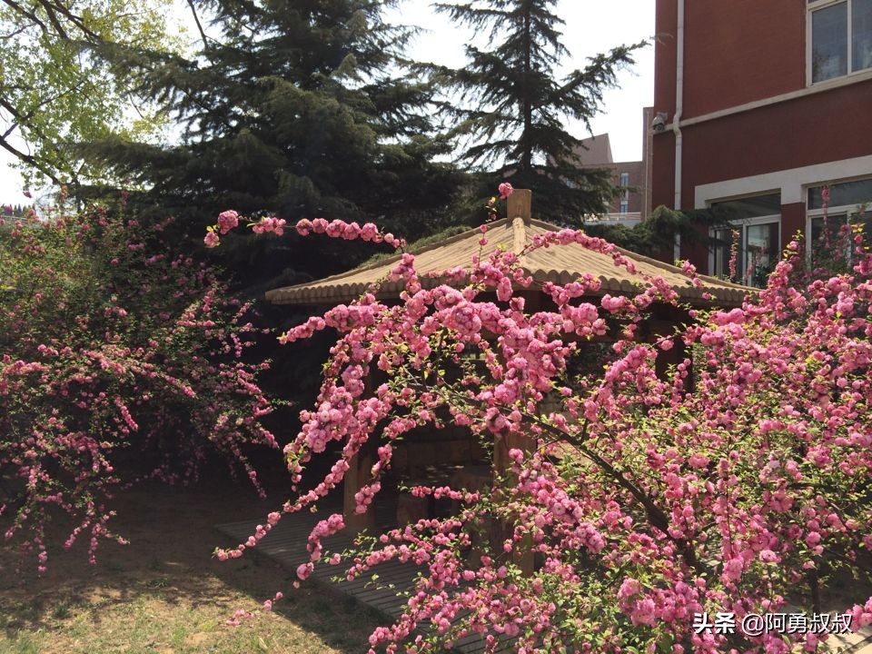 大连市第二十四中学内设机构,大连市第二十四中学金普校区