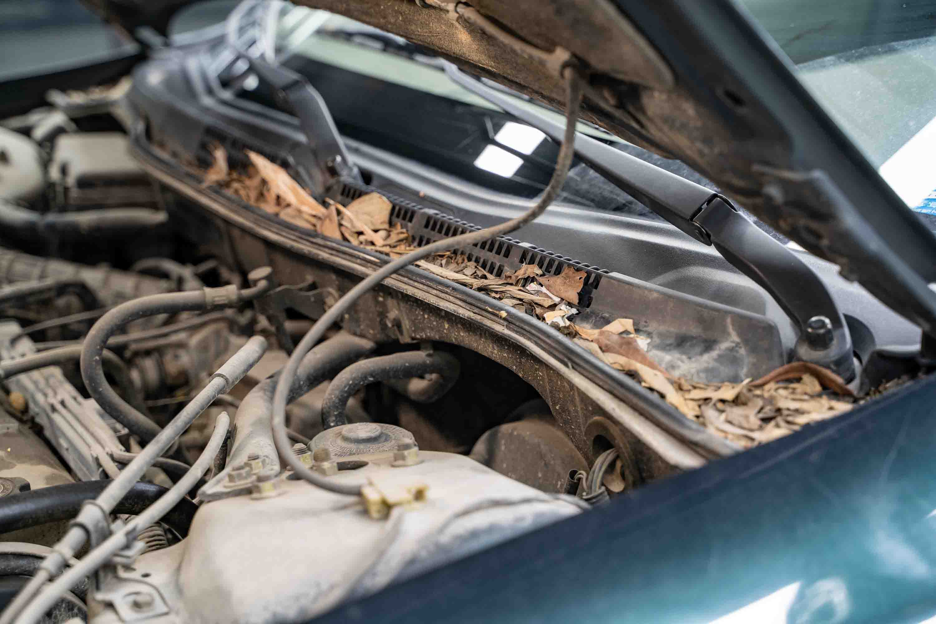 本田雅阁六代cg5什么意思,情怀雅阁