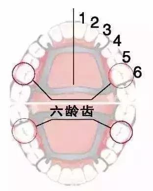 儿童常见疾病家长该如何干预,6个最易被忽视的儿童危险因素