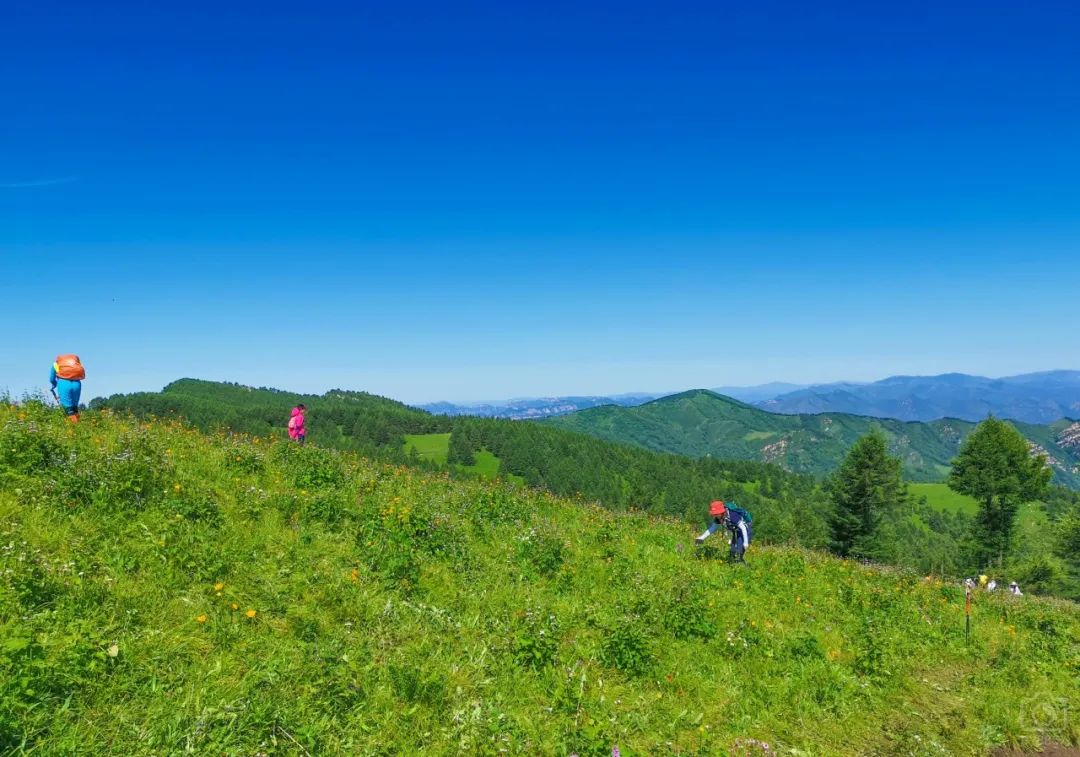 徒步穿越北驼梁完整版,穿越花海古道游记