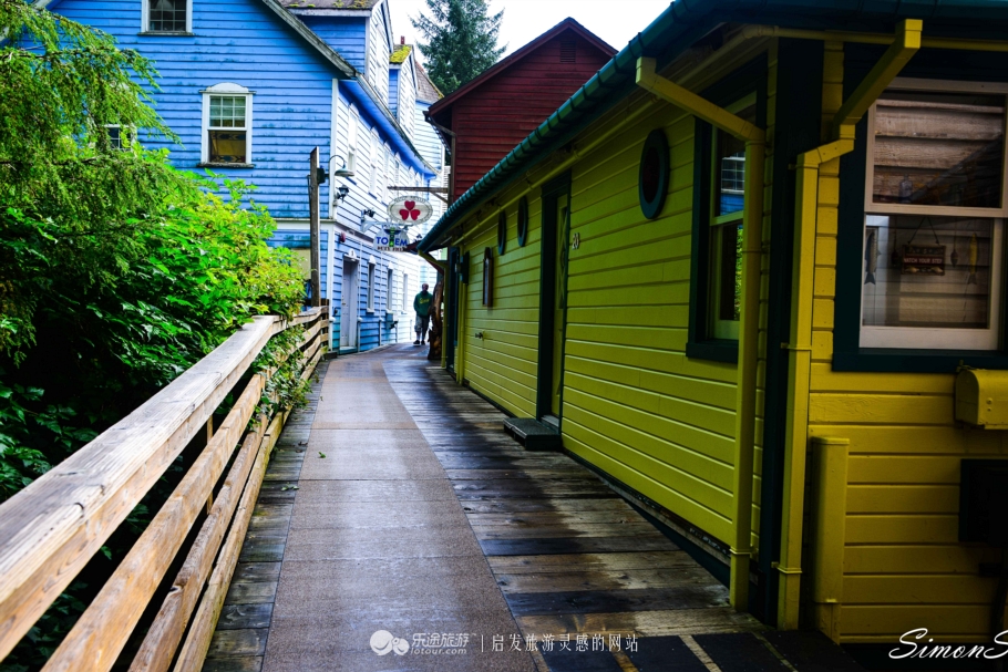 阿拉斯加：男人和三文鱼都赶来配种的“*灯区红**“