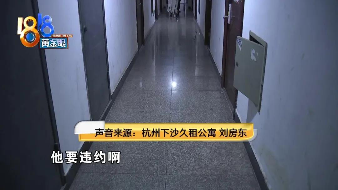 租房子蟑螂太多不想租了怎么办,租房蟑螂多和房东退房如何说