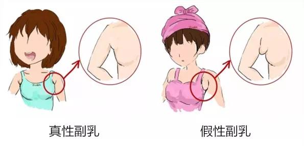 一个正经的问题：不同*杯罩**的「乳房」有多重？
