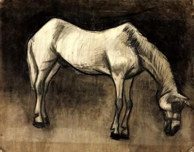 梵高是怎么画自画像的,梵高是怎样画静物的