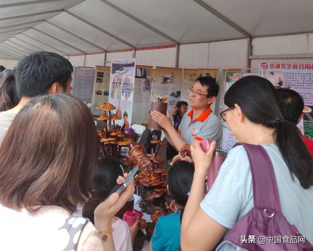 种灵芝乐趣多,利用空间种植灵芝