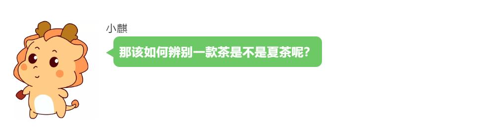 聊一聊生活那些事儿,聊一聊茶文化