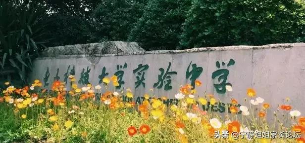 科大实验和七中八一,七中八一和金牛实验哪个好